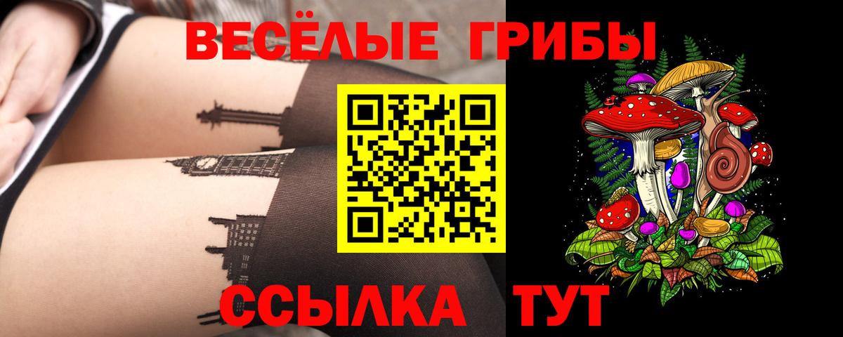 Галлюциногенные грибы мицелий  Вход с VPN  Тихорецк  Галлюциногенные грибы ЛСД 
